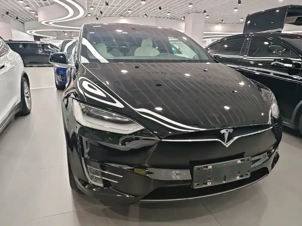 Tesla Model X — фото 9