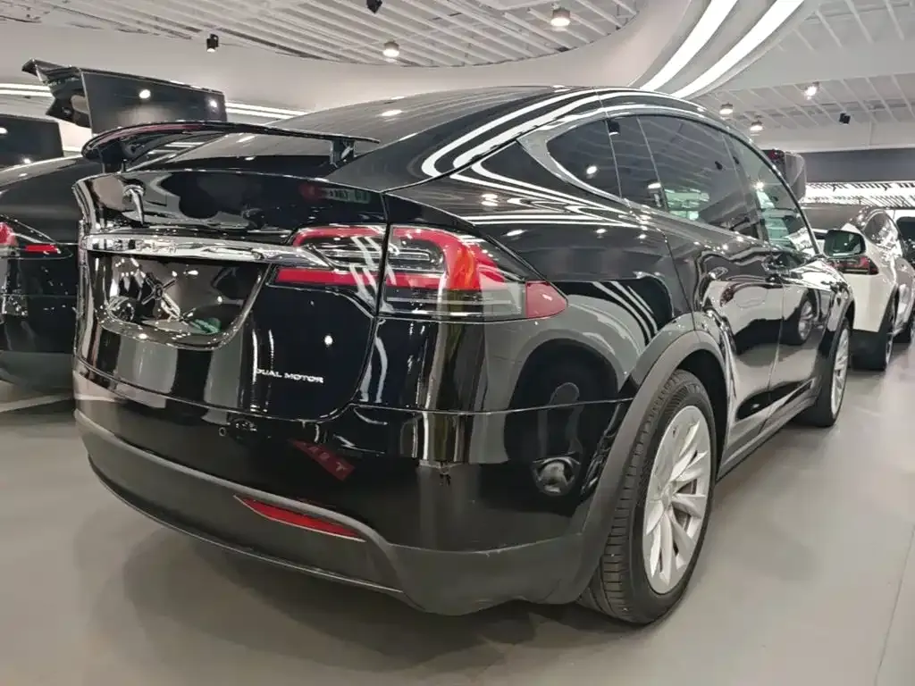 Tesla Model X — фото 8