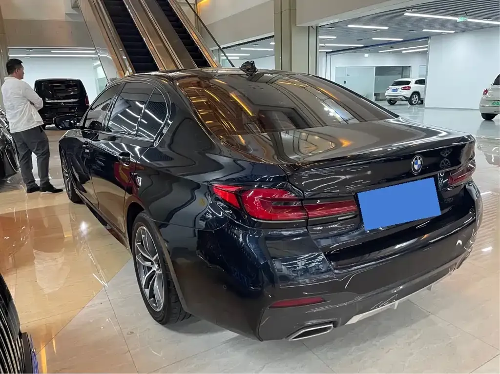 BMW 5 Series 2021 из CN, фото 10