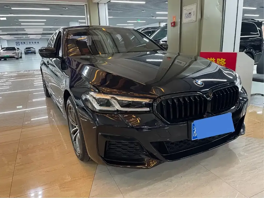 BMW 5 Series 2021 из CN, фото 4