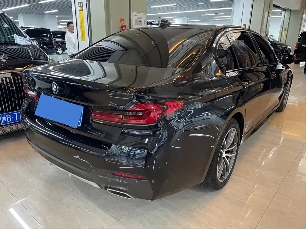 BMW 5 Series 2021 из CN, фото 3