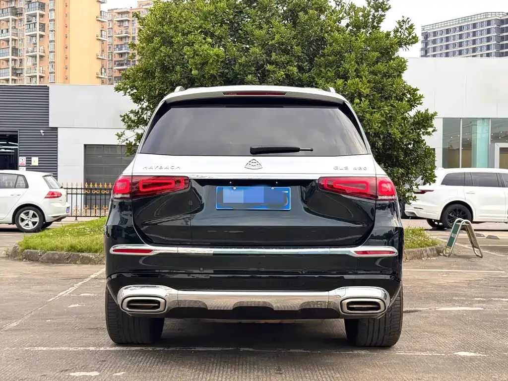 Mercedes-Benz GLS — фото 10