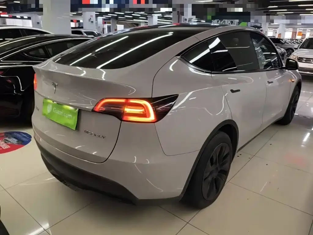 Tesla Model Y — фото 8