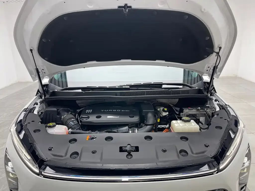 Buick GL8 Hybrid — фото 9