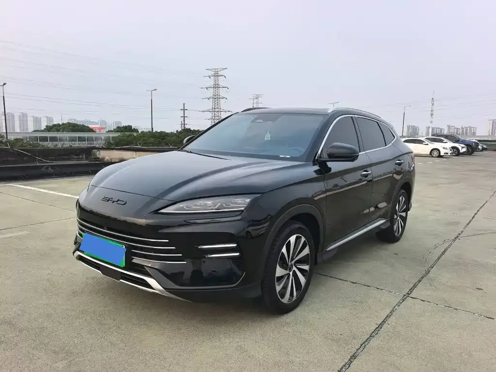 BYD PLUS New Energy — фото 1
