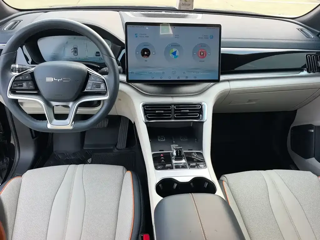 BYD PLUS New Energy — фото 10
