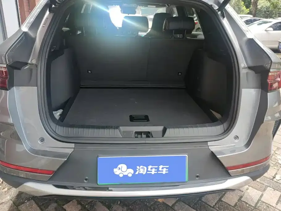 BYD PLUS New Energy — фото 3
