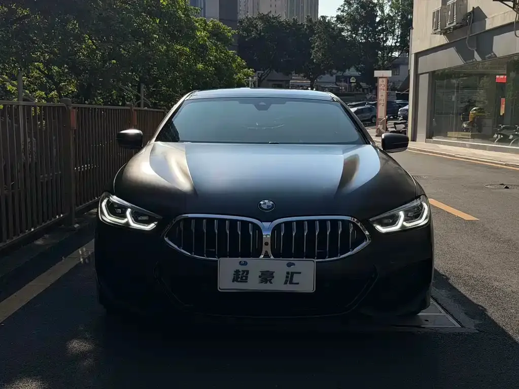 BMW 8 Series — фото 7