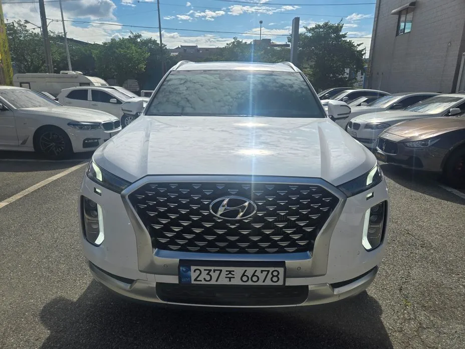 Hyundai Palisade — фото 1