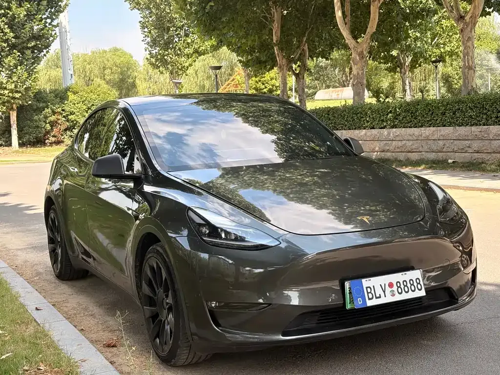 Tesla Model Y — фото 1