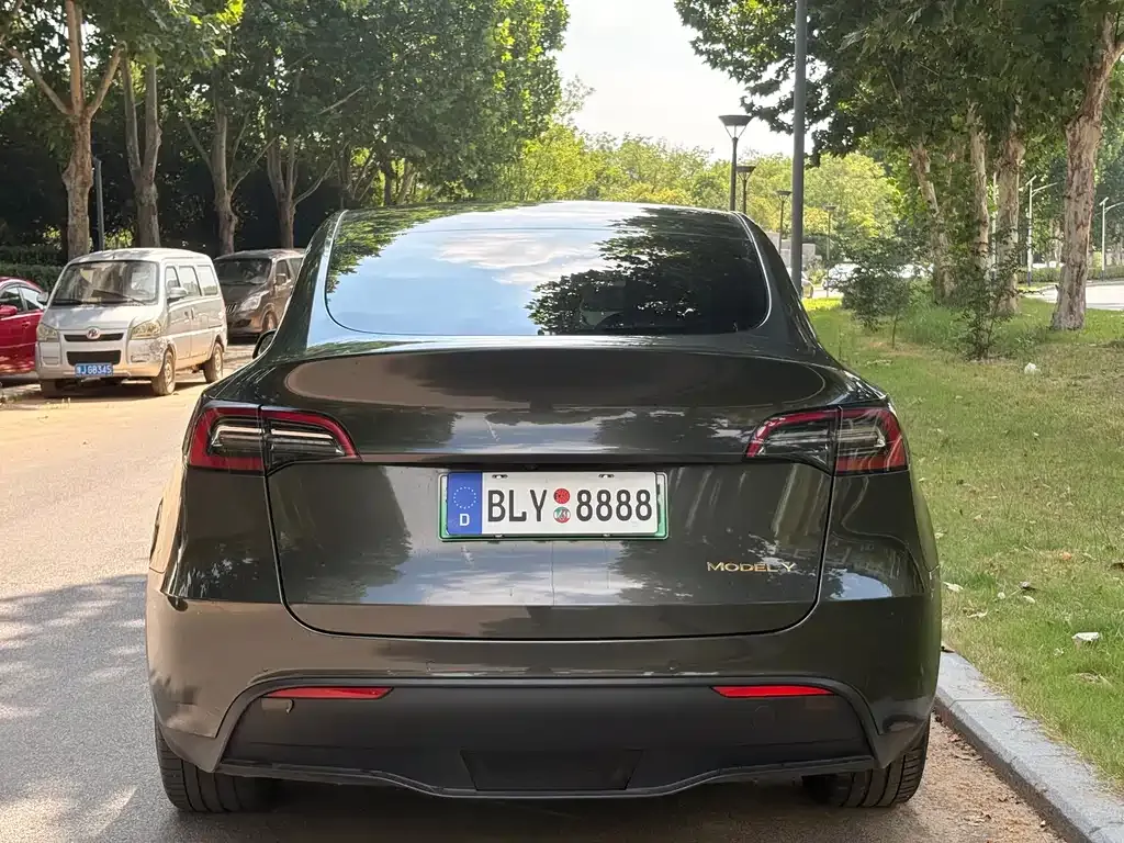 Tesla Model Y — фото 6