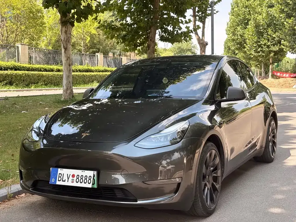 Tesla Model Y — фото 5