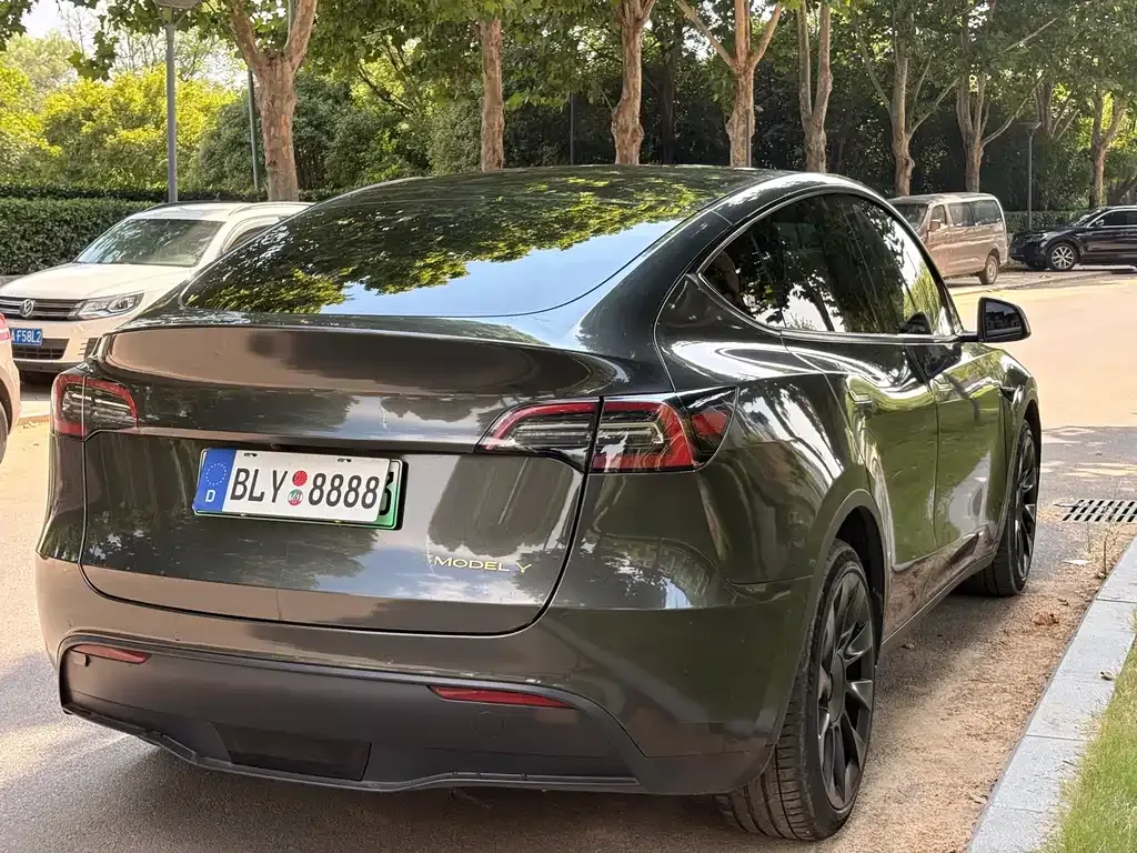 Tesla Model Y — фото 10