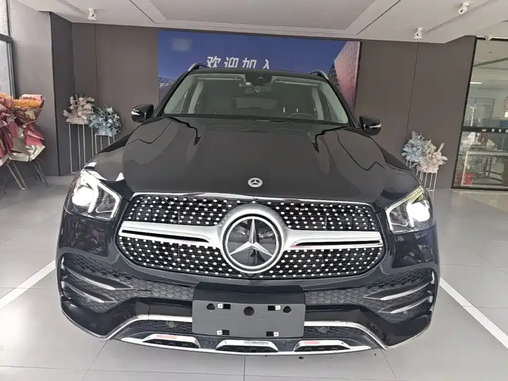 Mercedes-Benz 奔驰GLE(进口) — фото 5