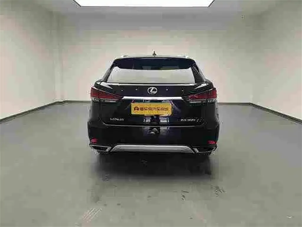Lexus RX 2022 из CN, фото 3