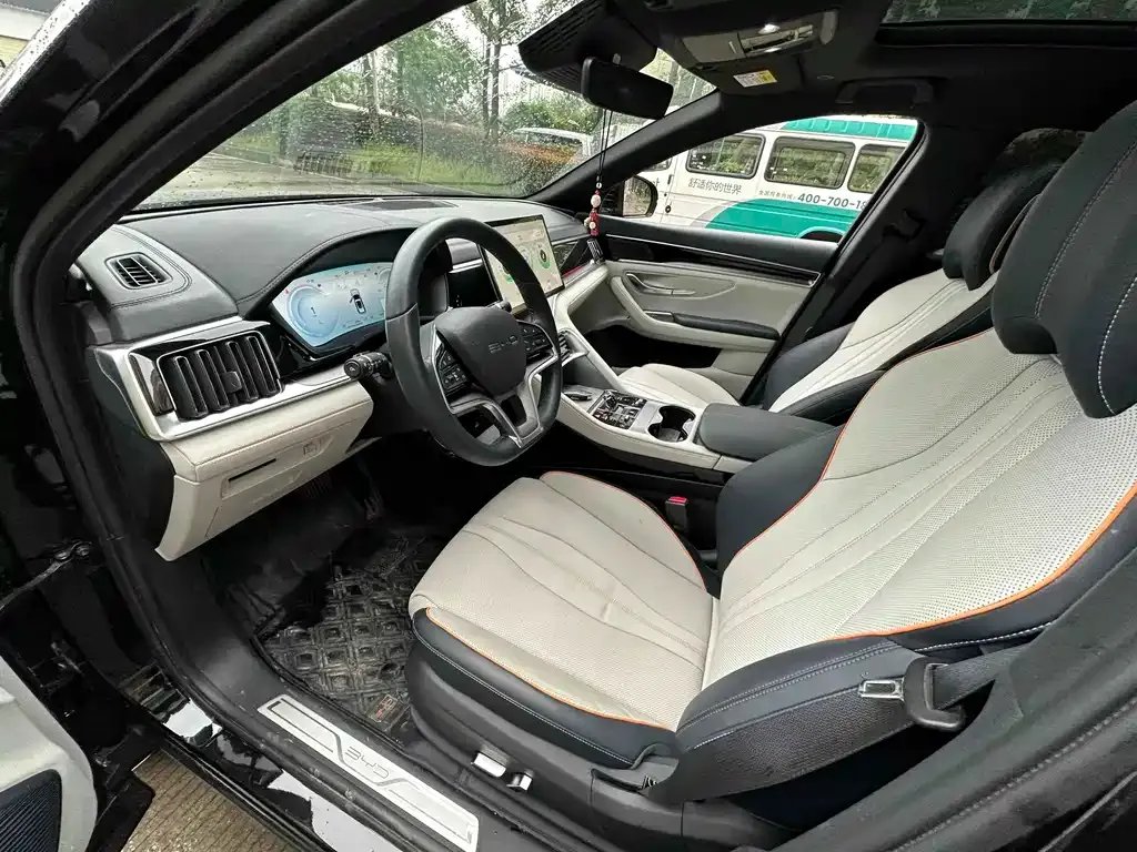 BYD PLUS New Energy — фото 4