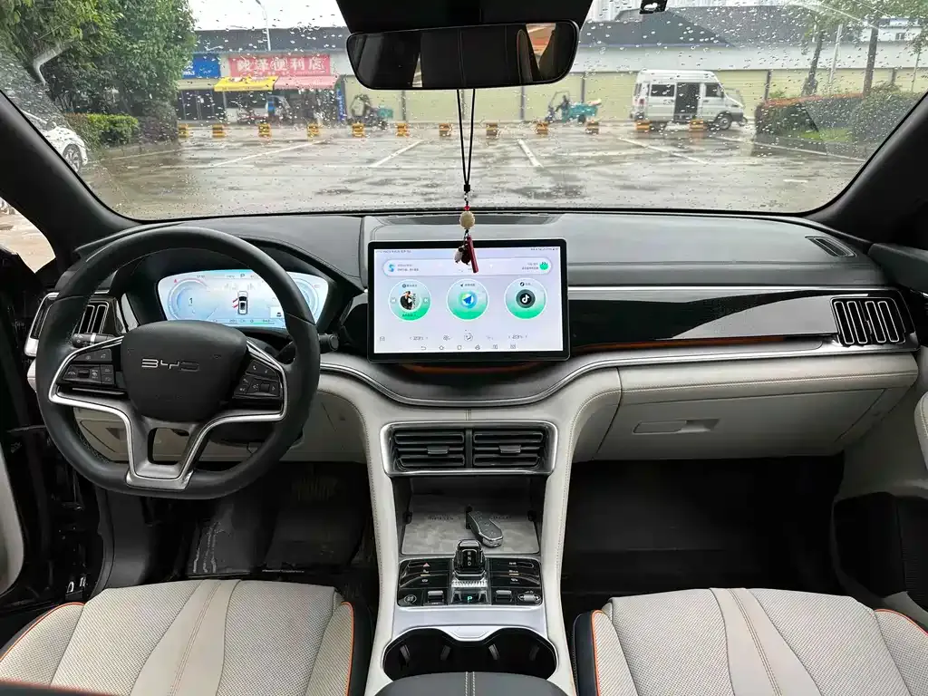 BYD PLUS New Energy — фото 9
