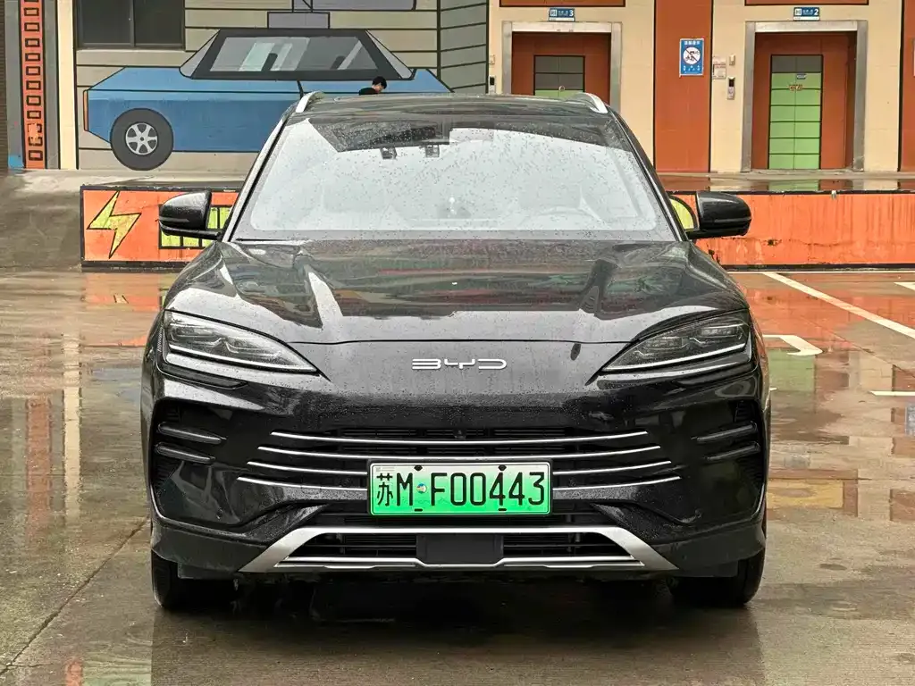 BYD PLUS New Energy — фото 3