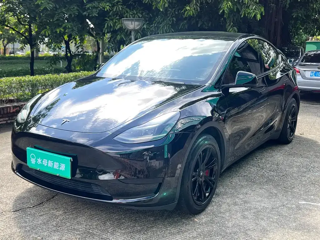 Tesla Model Y — фото 1