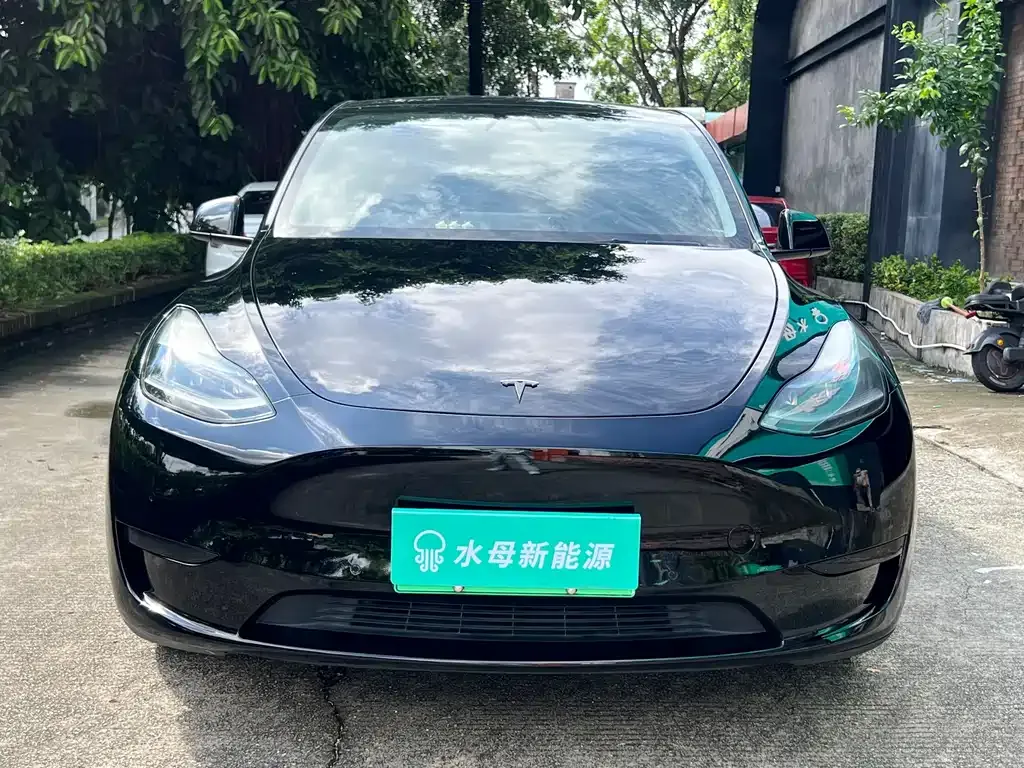 Tesla Model Y — фото 6