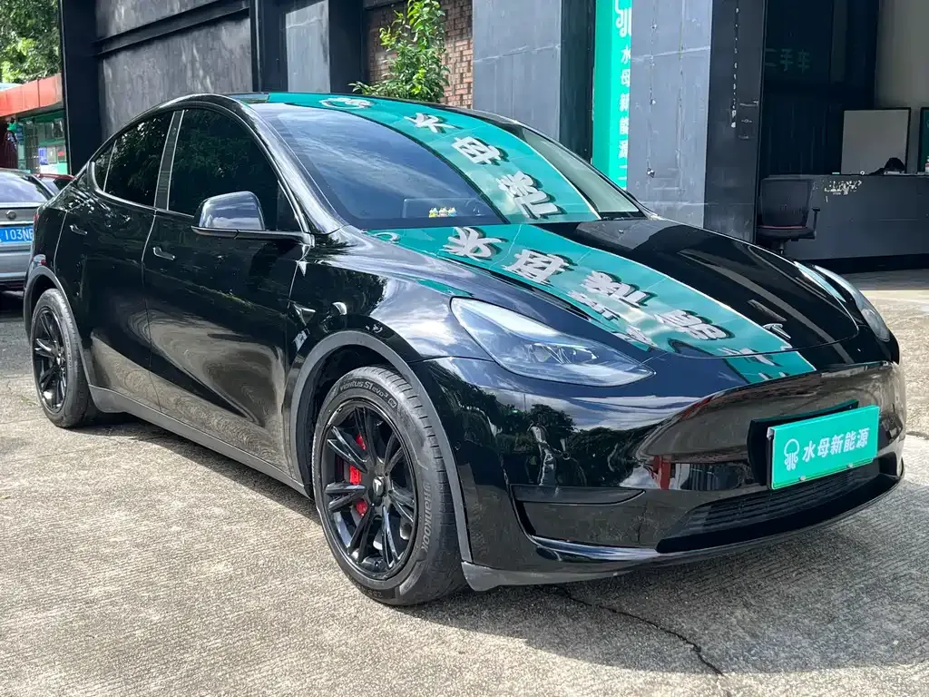 Tesla Model Y — фото 5