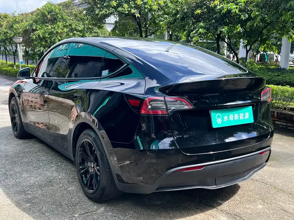 Tesla Model Y — фото 9