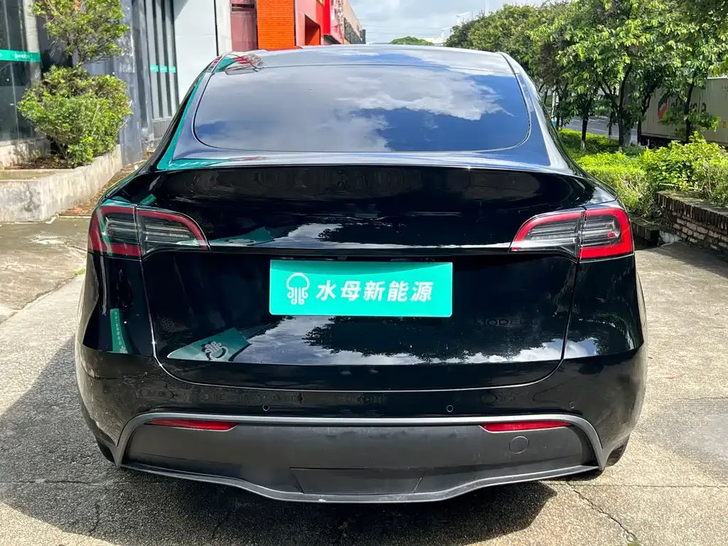 Tesla Model Y — фото 8