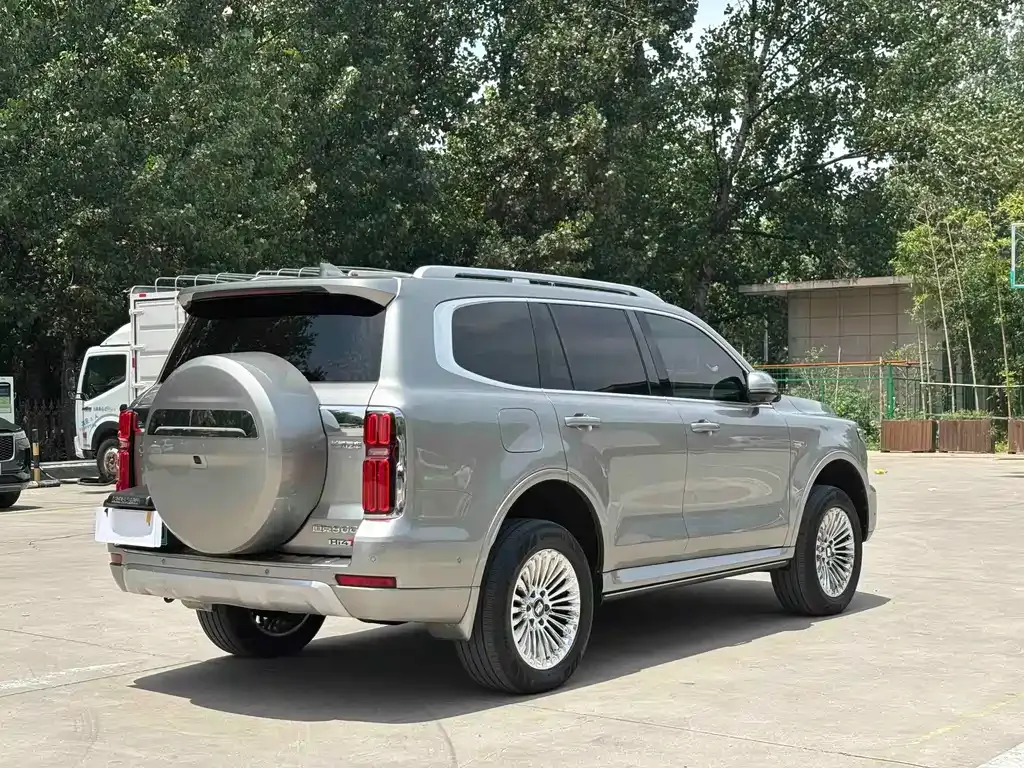 Tank 500 New Energy 2024 из CN, фото 4