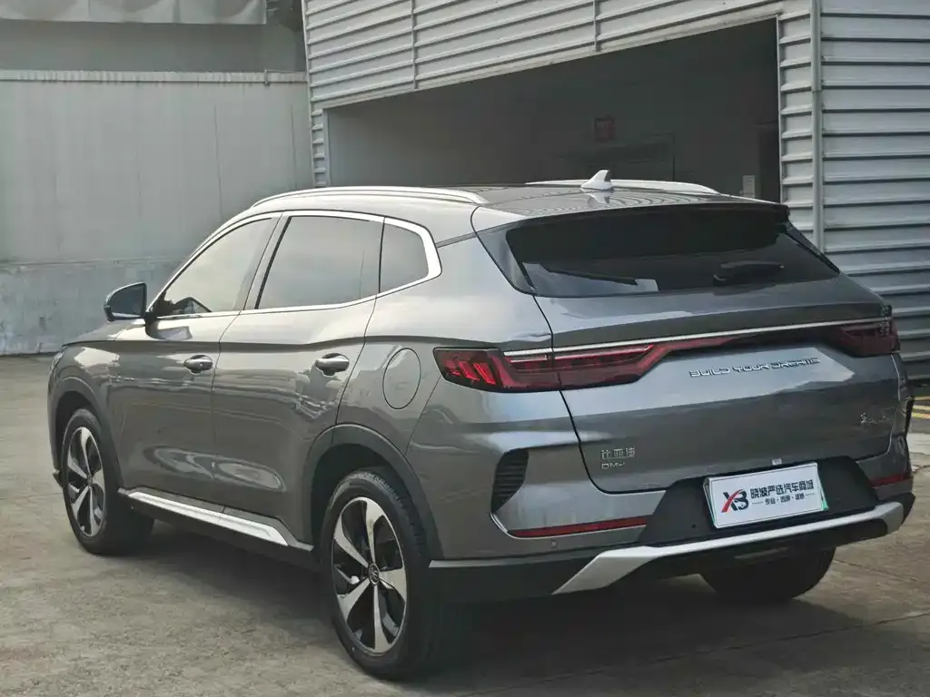 BYD PLUS New Energy — фото 8