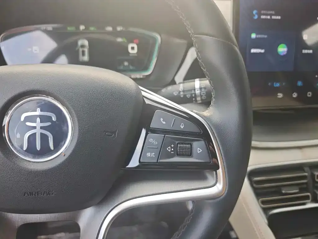 BYD PLUS New Energy — фото 4