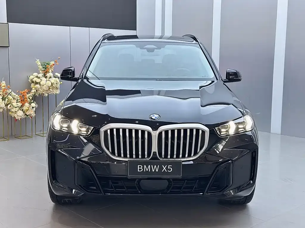 BMW X5 — фото 8