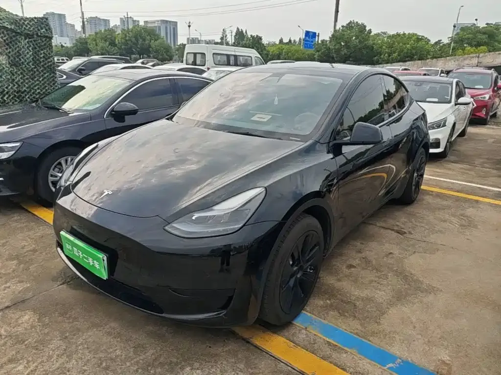 Tesla Model Y — фото 8