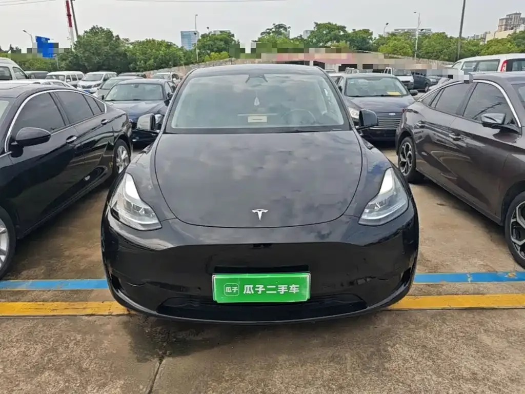 Tesla Model Y — фото 3