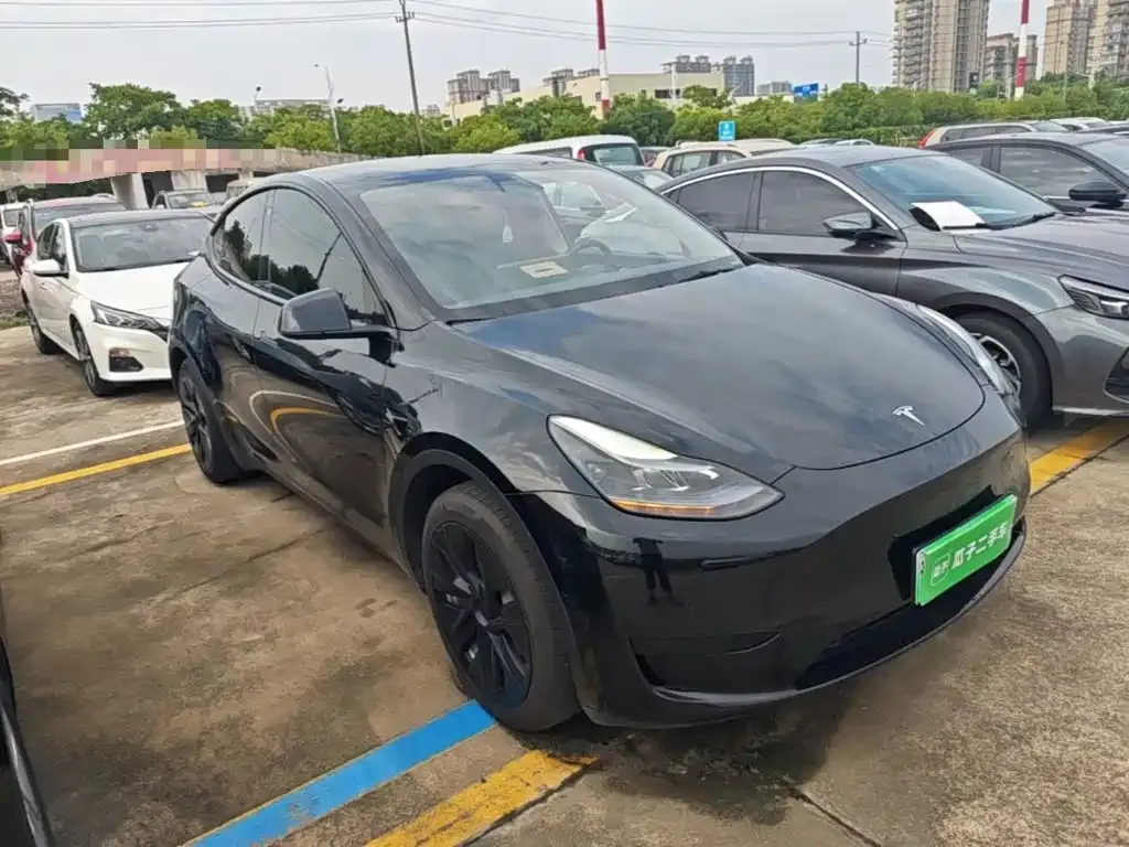 Tesla Model Y — фото 6