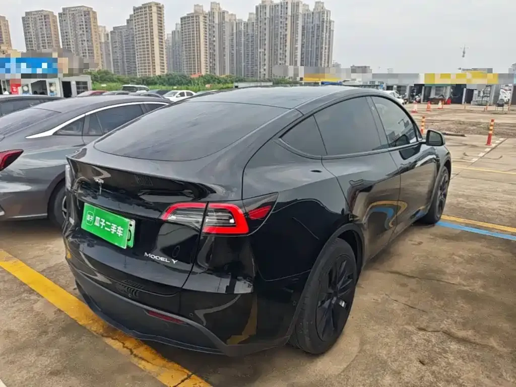 Tesla Model Y — фото 9