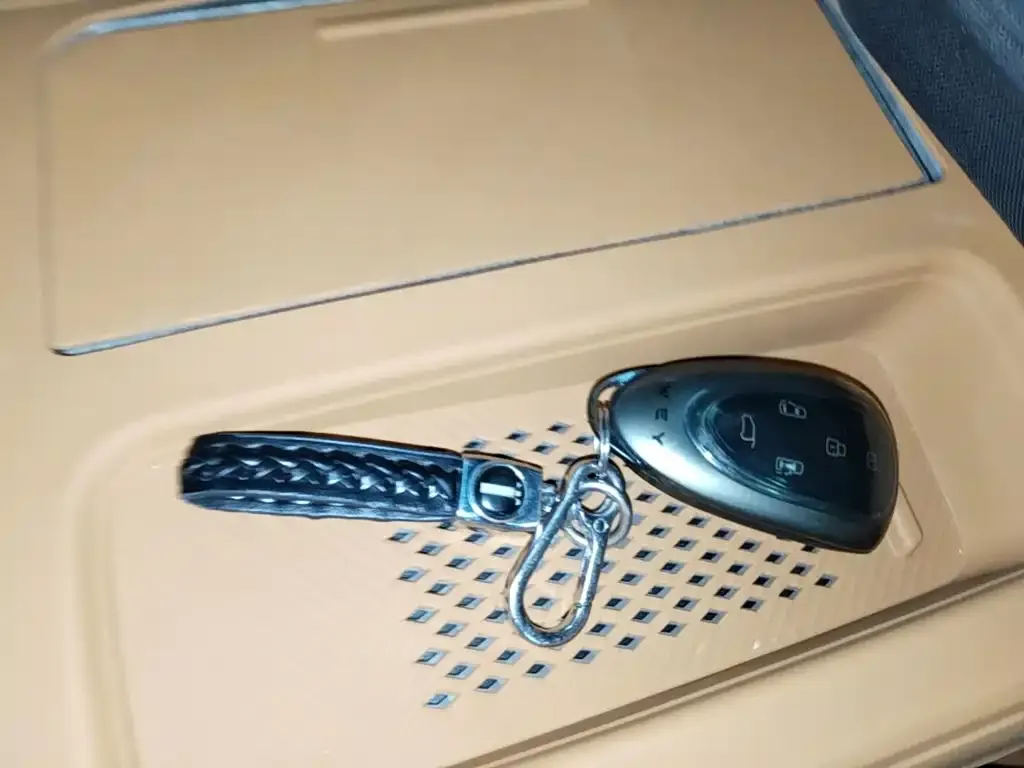 Wey Gaoshan — фото 2