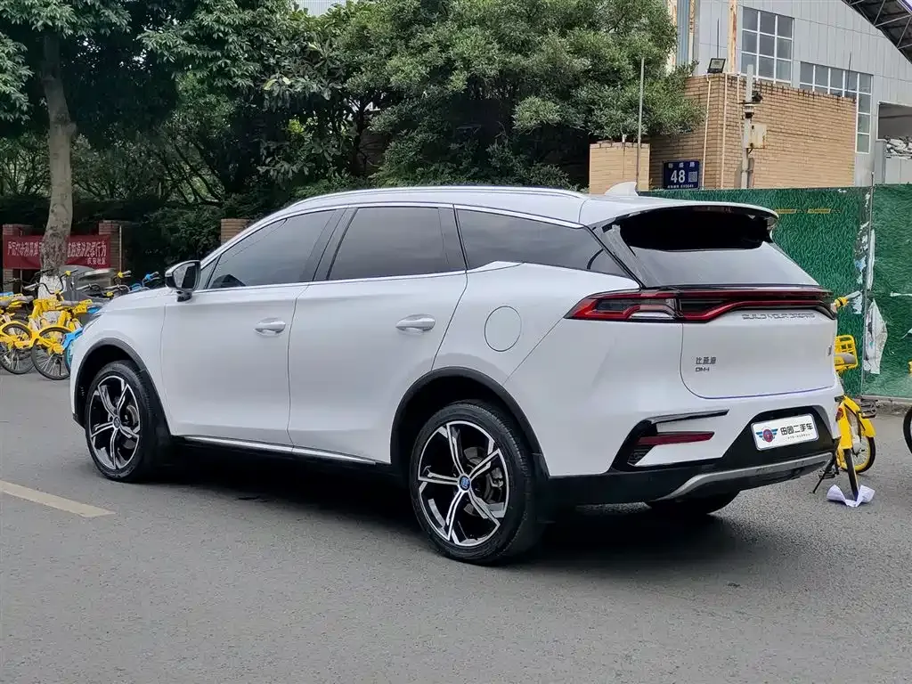 BYD Tang New Energy — фото 9
