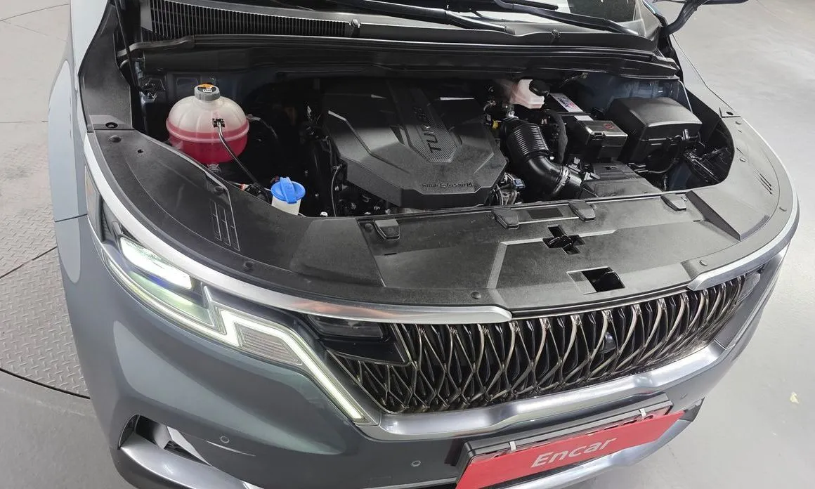 Kia Carnival — фото 10