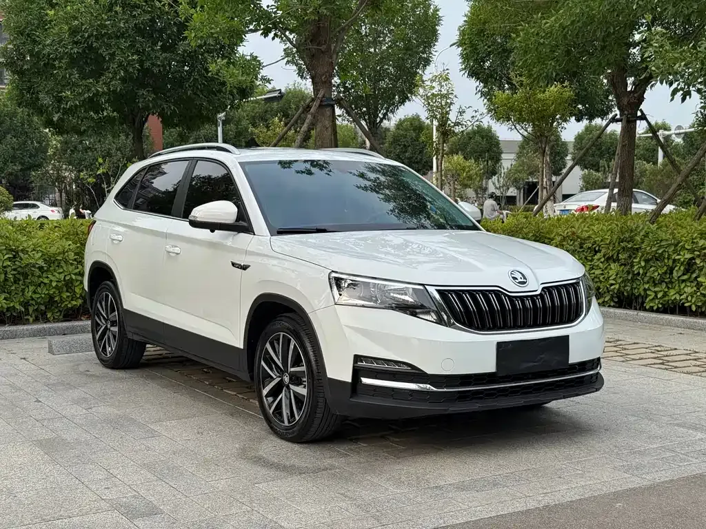 Skoda Kamiq — фото 4