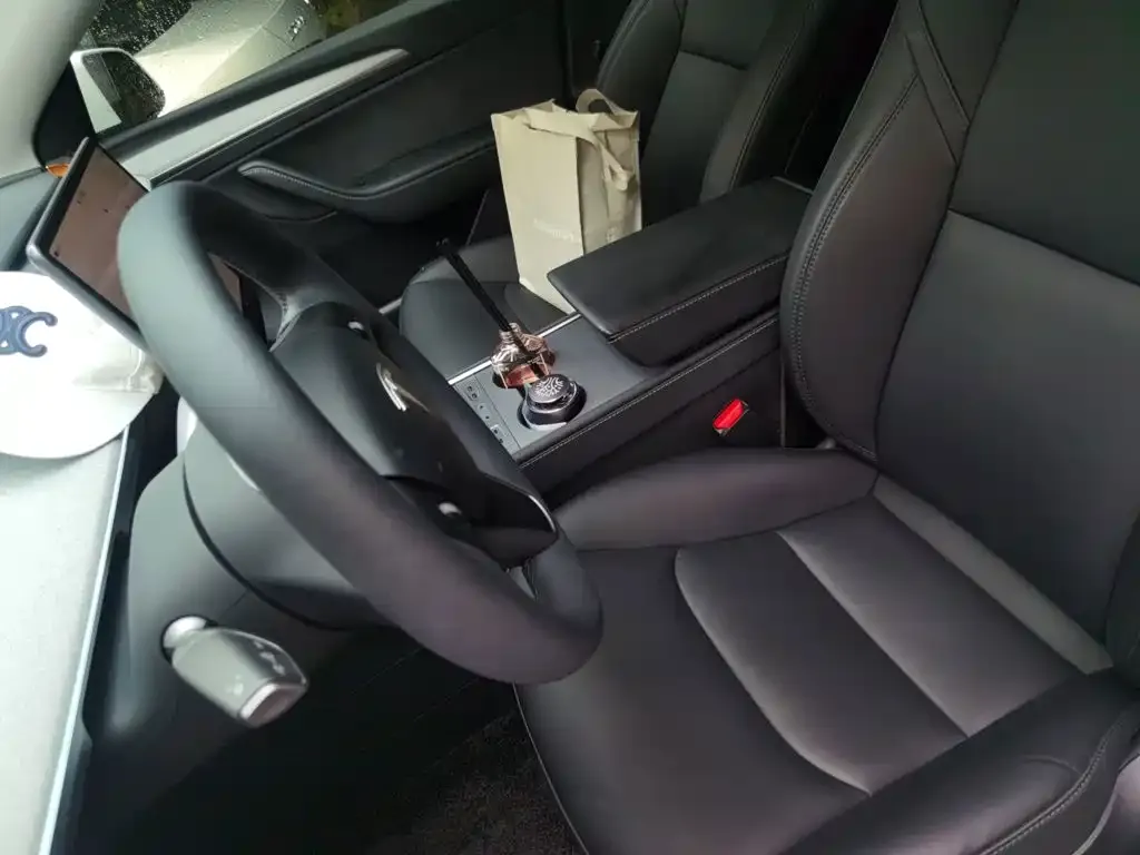 Tesla Model Y — фото 10