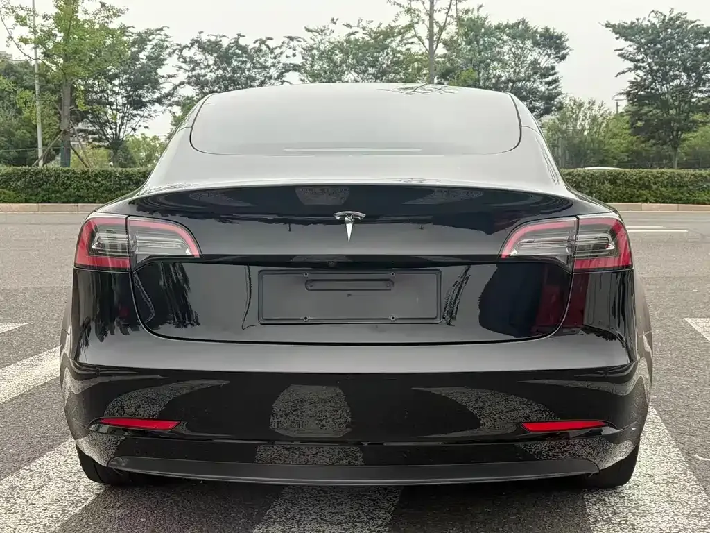 Tesla Model 3 2021 из CN, фото 9