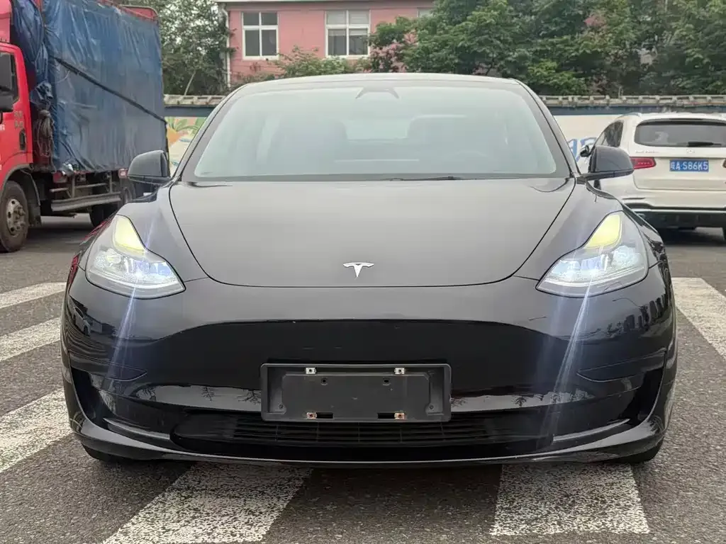 Tesla Model 3 2021 из CN, фото 5