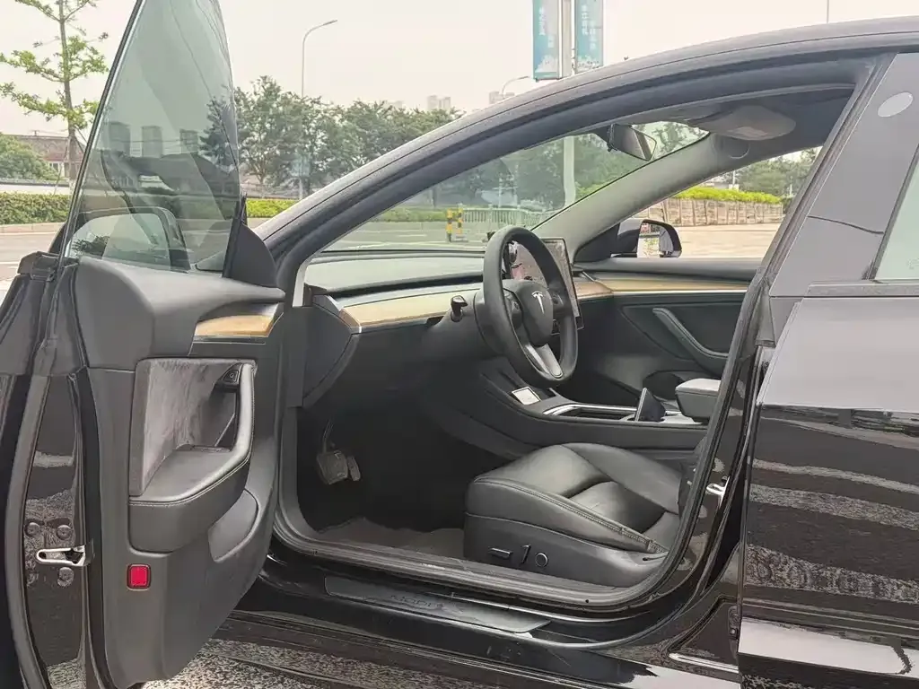 Tesla Model 3 2021 из CN, фото 6
