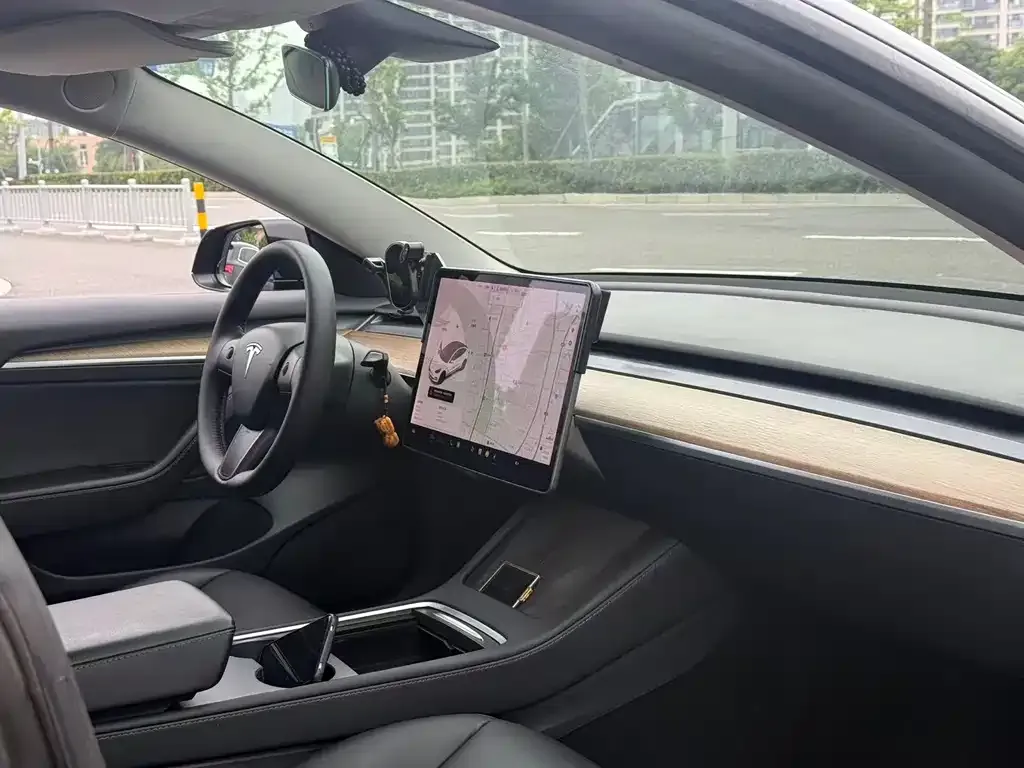 Tesla Model 3 2021 из CN, фото 3