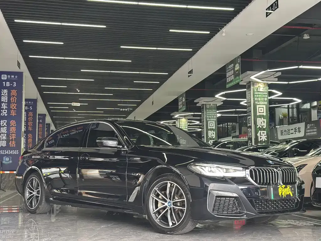 BMW 5 Series New Energy — фото 9