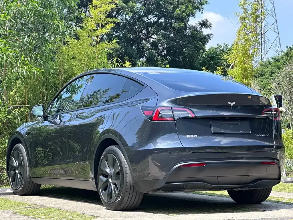 Tesla Model Y — фото 9