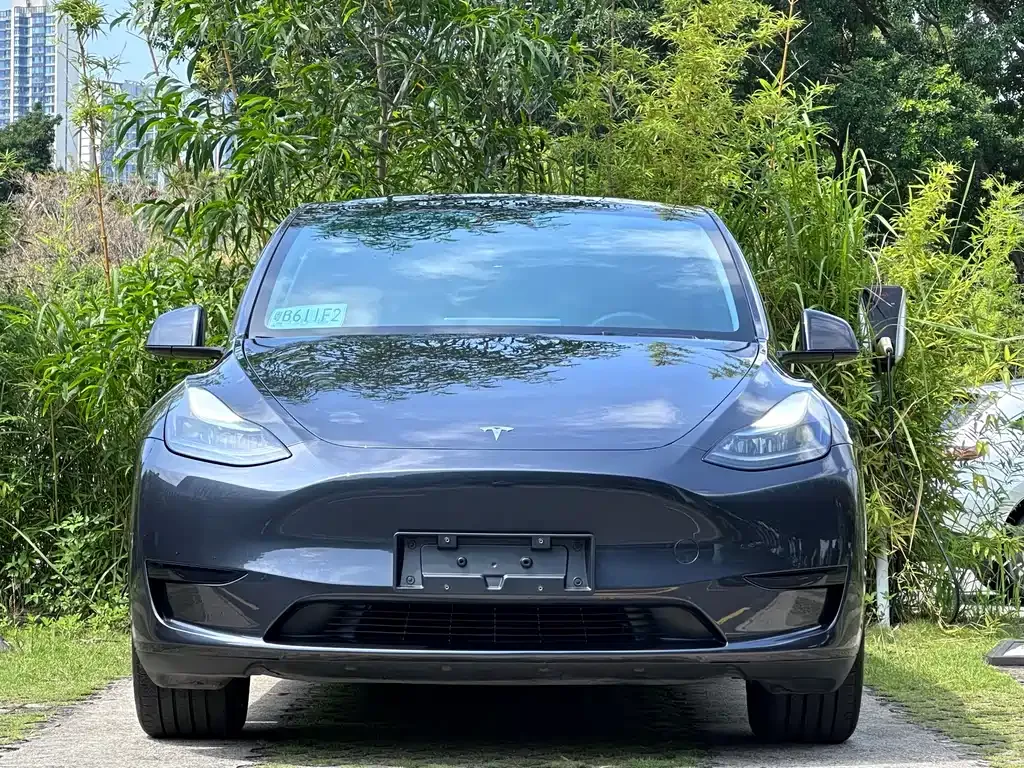 Tesla Model Y — фото 10