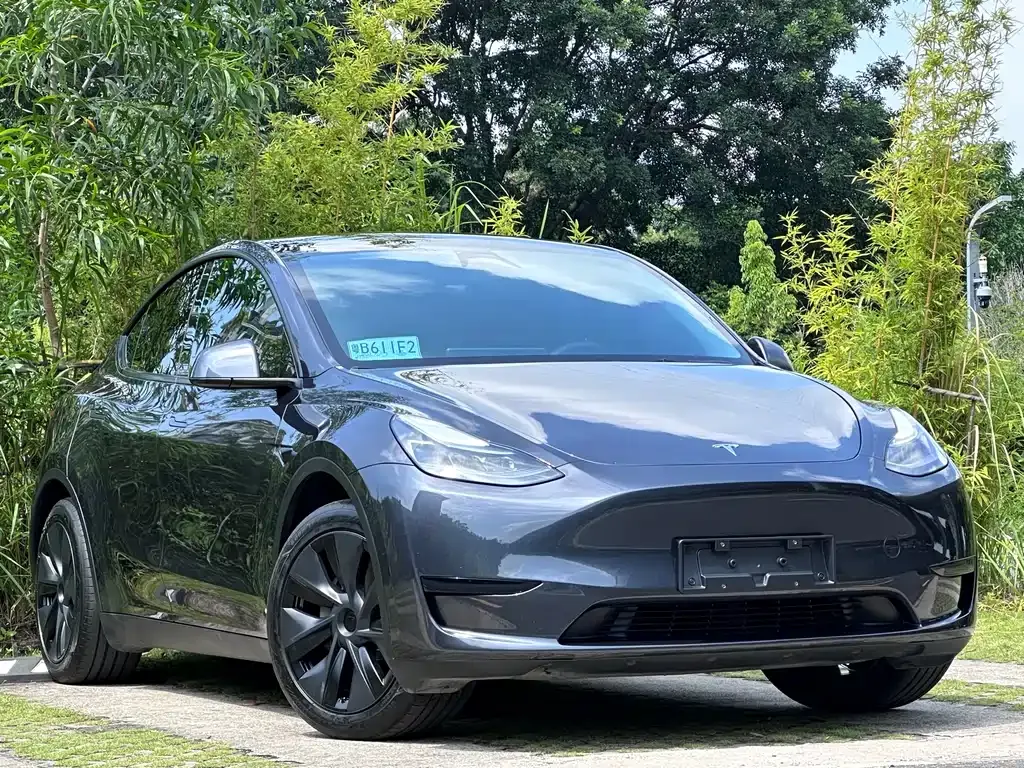 Tesla Model Y — фото 8