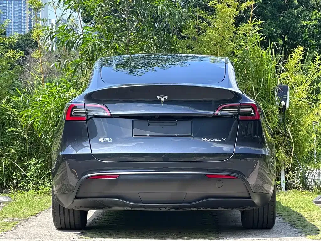 Tesla Model Y — фото 5