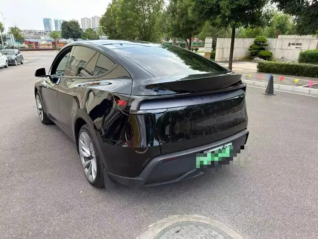 Tesla Model Y — фото 8